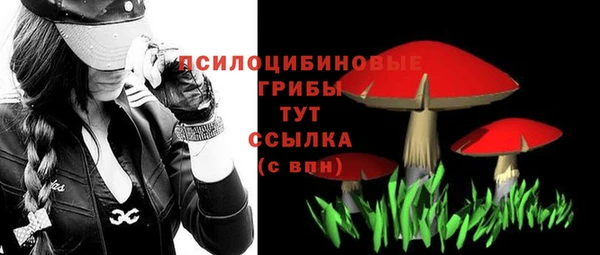 гидра Покров