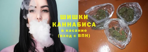 стаф Покачи