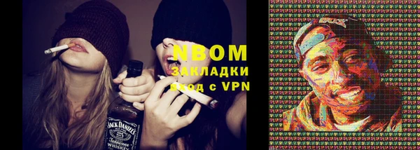 стаф Покачи