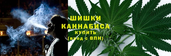 стаф Покачи