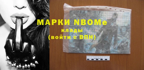 стаф Покачи