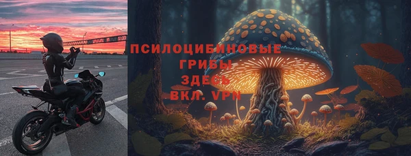 стаф Покачи