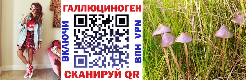 Галлюциногенные грибы мицелий  Губаха 