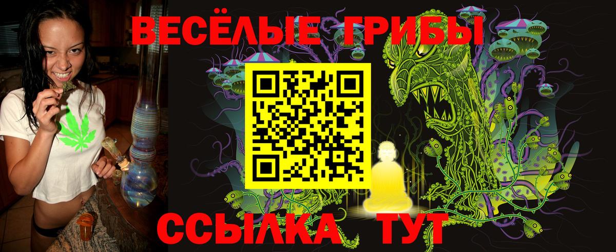 Галлюциногенные грибы мицелий  купить закладку  Галлюциногенные грибы MAGIC MUSHROOMS  Губаха 