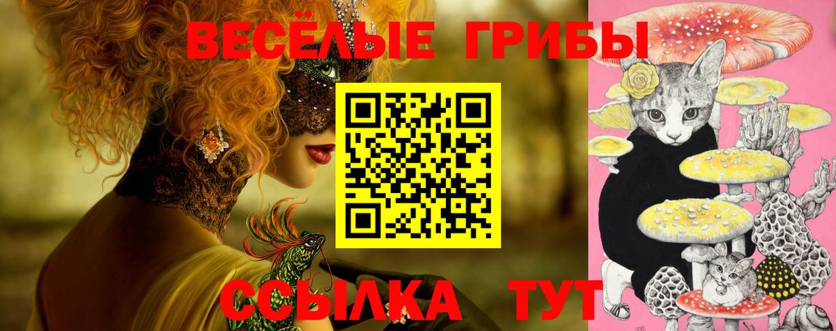 Галлюциногенные грибы мицелий  Вход с VPN  Губаха 